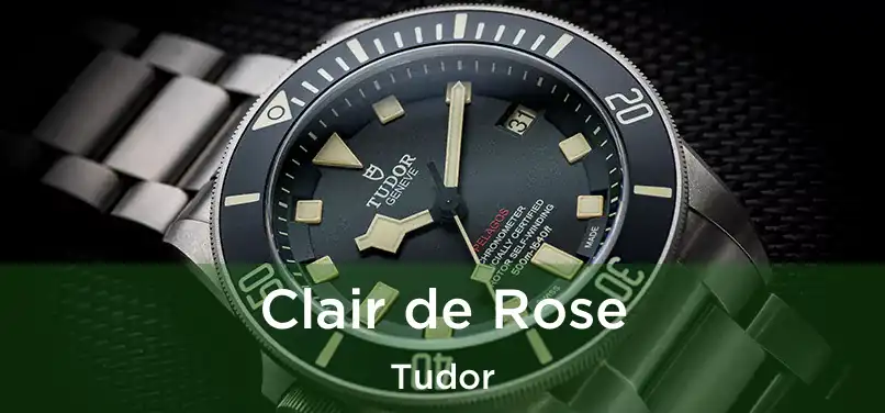  Clair de Rose Tudor